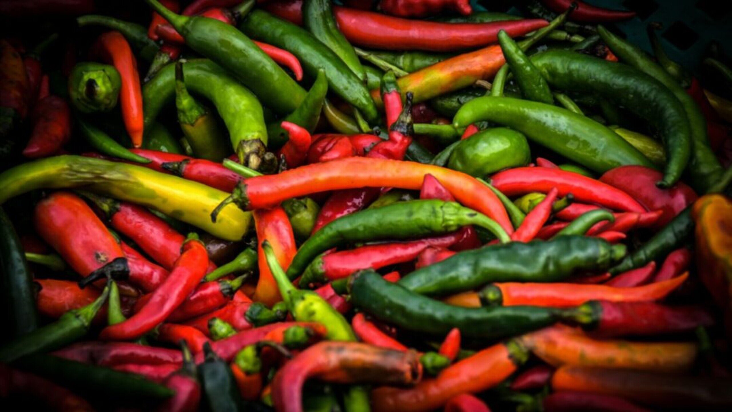 Чили Chillies